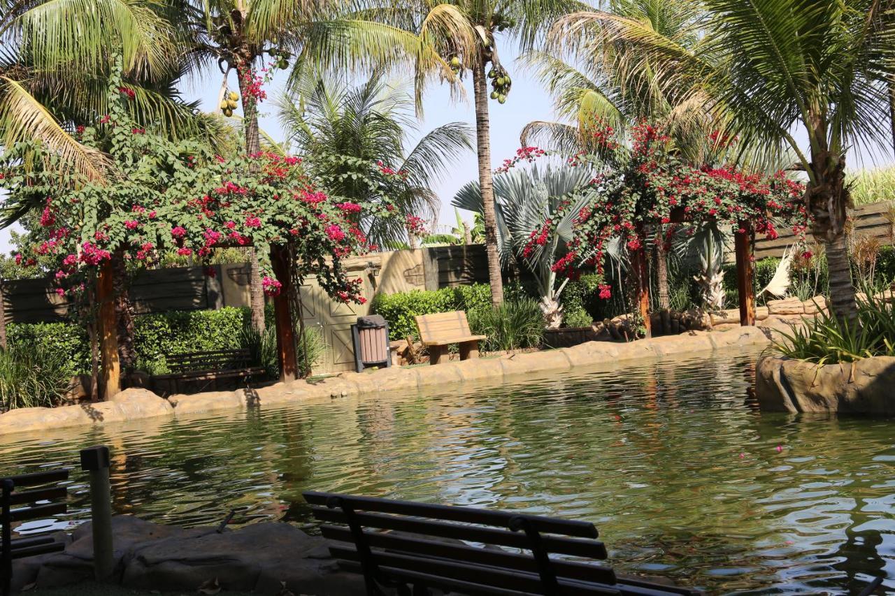 Hotel Carpe Diem Eco