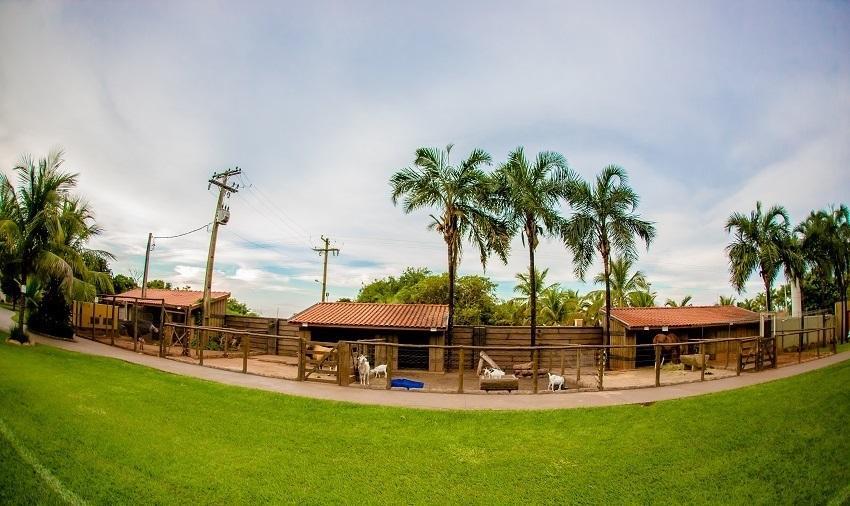 Carpe Diem Eco 4* Olimpia