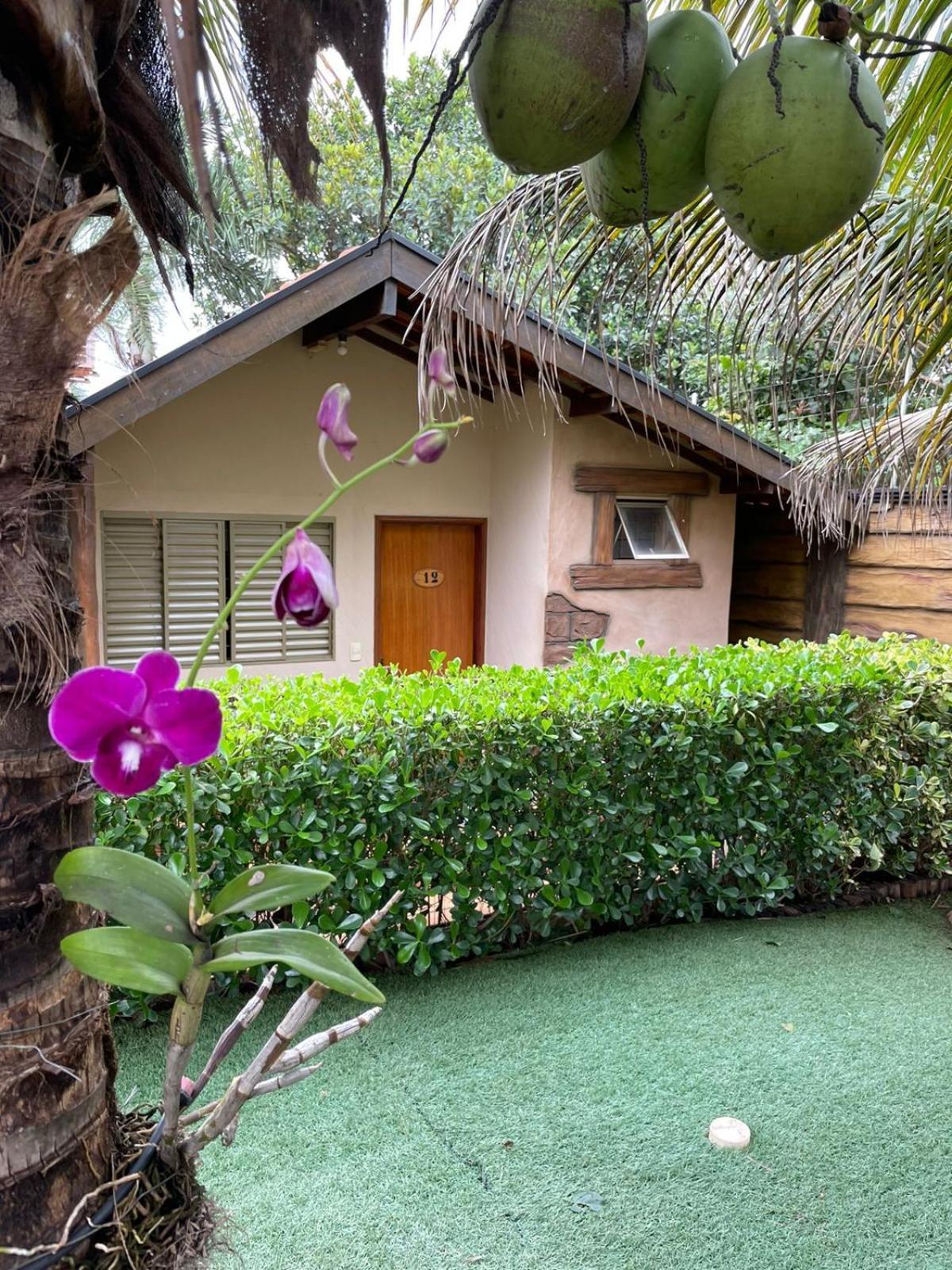 Hotel Carpe Diem Eco Olimpia