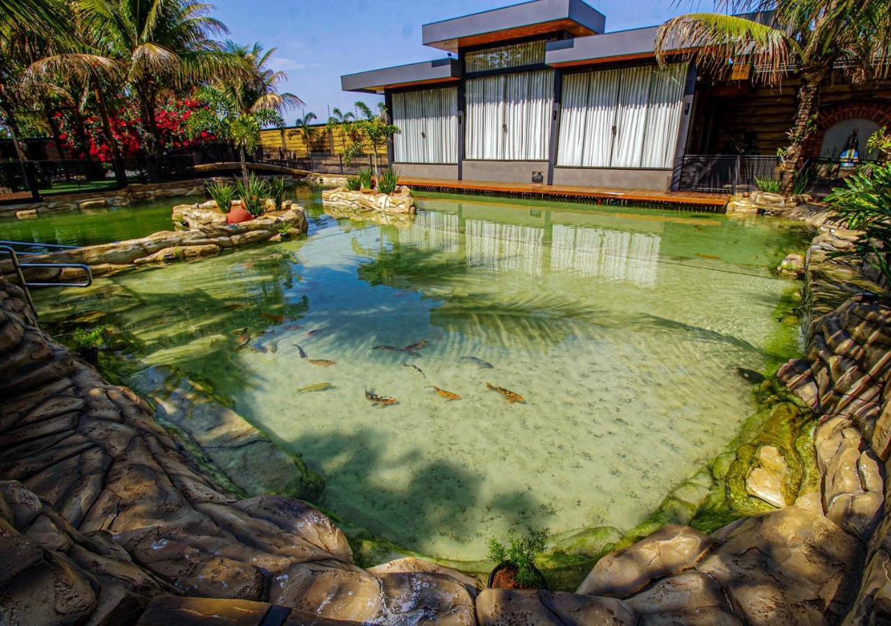 Carpe Diem Eco 4* Olimpia